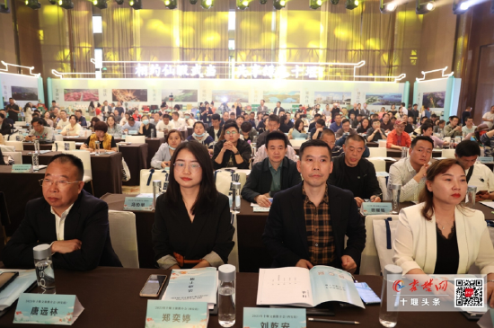 ͼֱ | ֱֳ2023ʮƽᣨվ