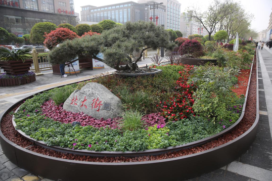 钟毓莲湖花境色彩鲜艳的花池