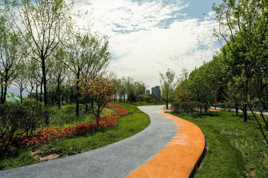 吕公路绿道