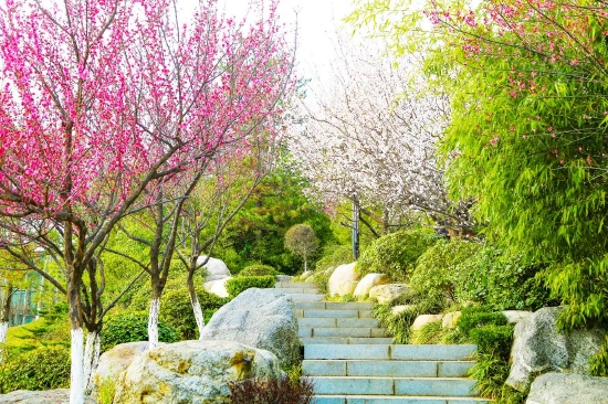 △图片来源：西安世博园