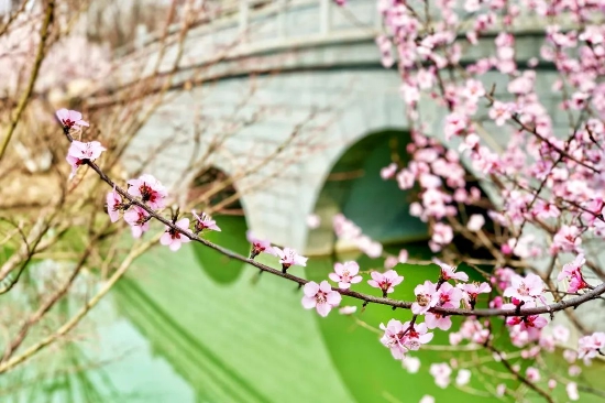 △图片来源：西安世博园