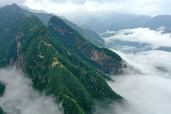 (图 王胜利)