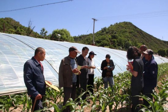 “蔬菜法庭”法官干警深入现场调查案件