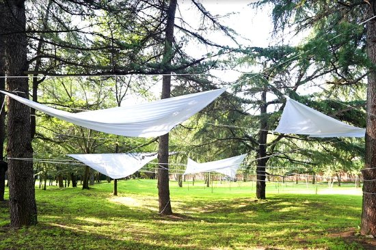 作品《光之穹顶》