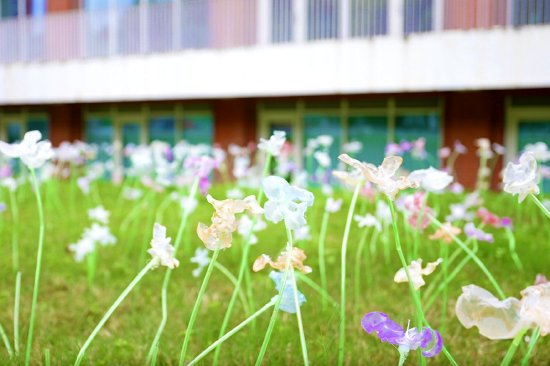 作品《是与时：致每一种生长》