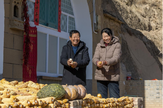 图为果农高乃柱和老伴儿在自家院子里掰玉米