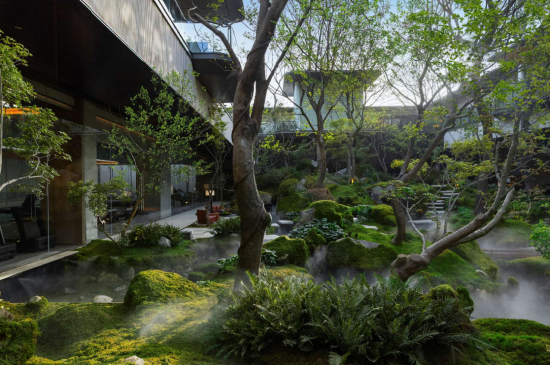 △金茂璞逸东方实拍图