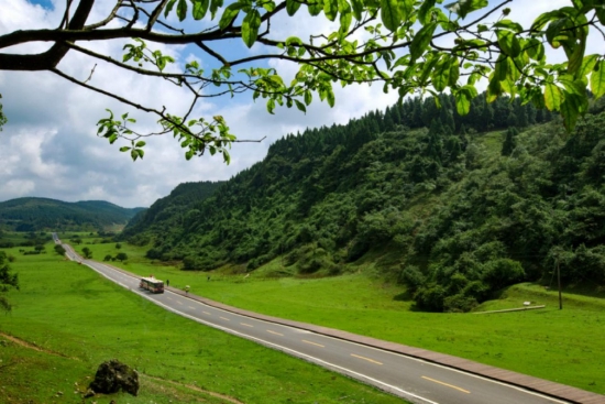 春回大地 万物复苏中的仙女山