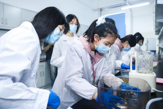 生物基无毒染料染色与包装安全性检测实验