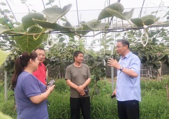 大气农场邀请陕西猕猴桃产业首席科学家刘占德(右)给农户做种植指导