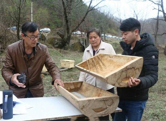 养蜂人_养蜂人年收入