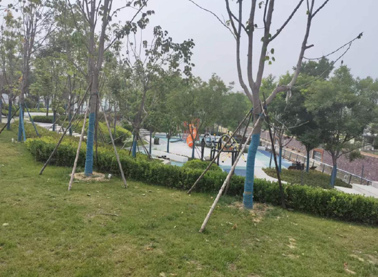 科技路南段皂河生态公园(目前修缮中,暂未开园)