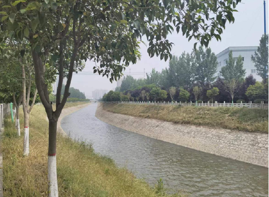 科技路北段皂河生态景观带