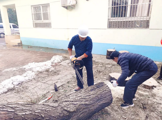 世园园林公司养护师将砍伐的柳树制作成“敲菜墩”、花盆垫