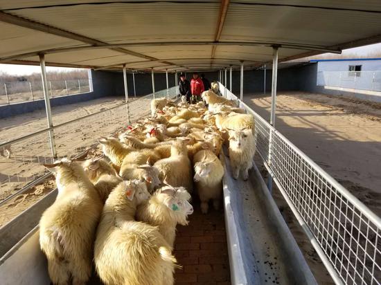 小壕兔乡人口_小壕兔乡项目规划图