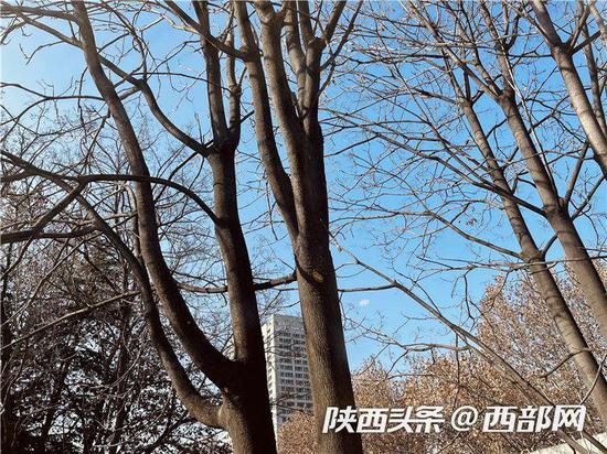 明天起,降温吹风天气将到达陕西