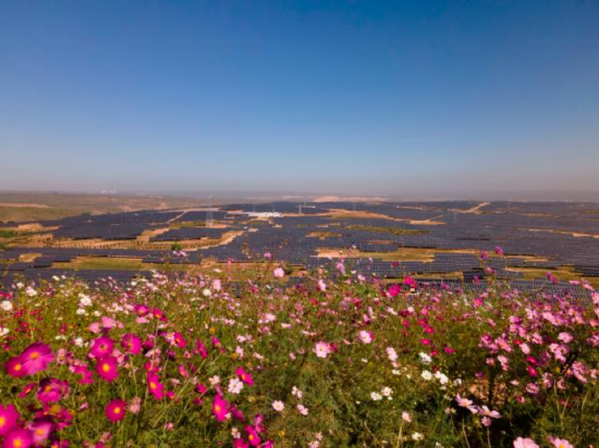 图为布尔台“绿水青山就是金山银山”实践创新基地