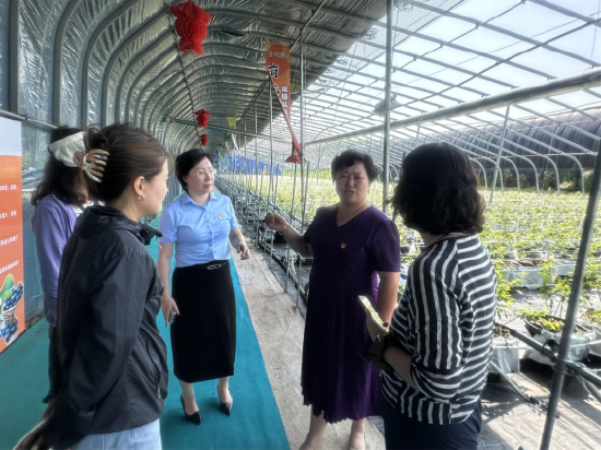中国人寿牟平支公司工作人员走访南台村种植大棚，为乡村振兴路上的奋斗者增添一份安心保障