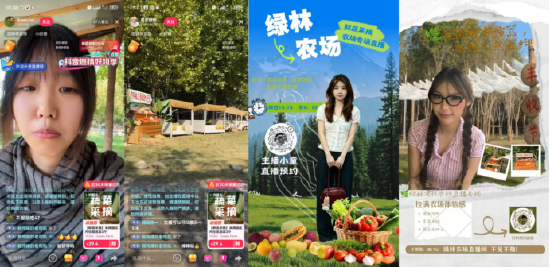 同学们直播画面