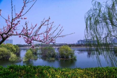 #陕西旅游种草#