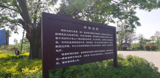 渭南丰原人口_渭南东塬丰原镇风景(2)