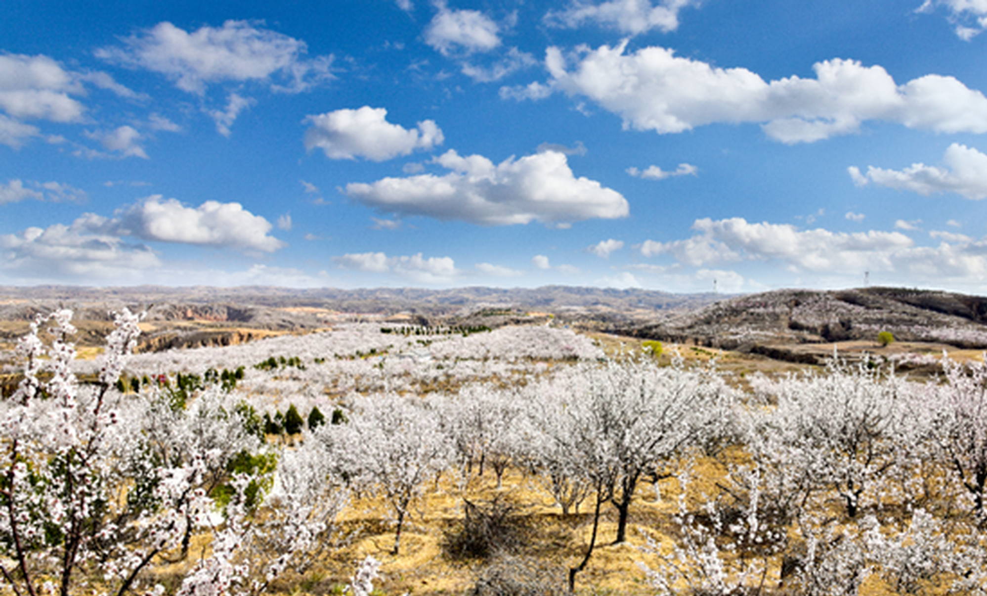 到這樣的榆陽(yáng)區(qū)旅游，你準(zhǔn)備好了嗎