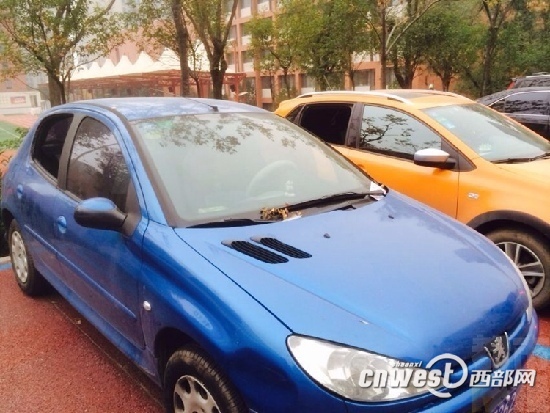私家車停路邊遭黑手，車玻璃被砸事件頻發(fā)，原因令人費(fèi)解。