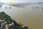 持续生态治理 渭河清流“入黄”