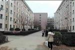 少女校園受辱再追蹤 學校老師躲貓貓 