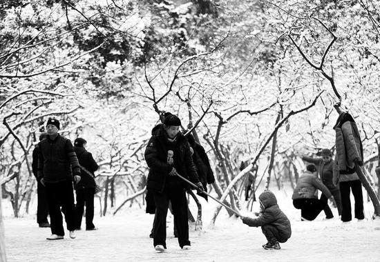 在兴庆宫公园里玩雪的市民    本报记者吴岸彪摄