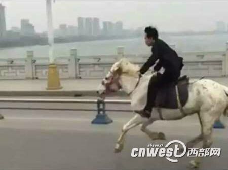 汉中小伙商业区骑马一路狂奔，交警责令牵马回家。
