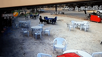 動圖