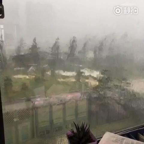 草滩大雨如注