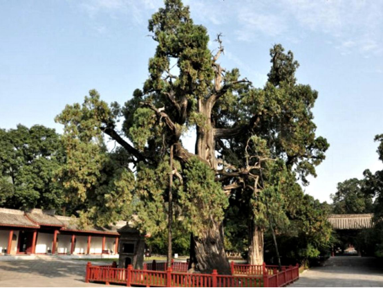 激情飞扬 青春敢闯 跟着海马S5探访红色三秦大地1790