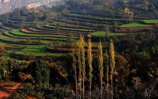 西安中院扶贫工作再出新举措 美丽乡村生态旅