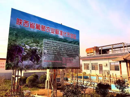 省級葡萄農業(yè)標準化示范區(qū)