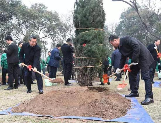 |市委书记王永康与浙江企业家团队共同栽种友谊长青之树|