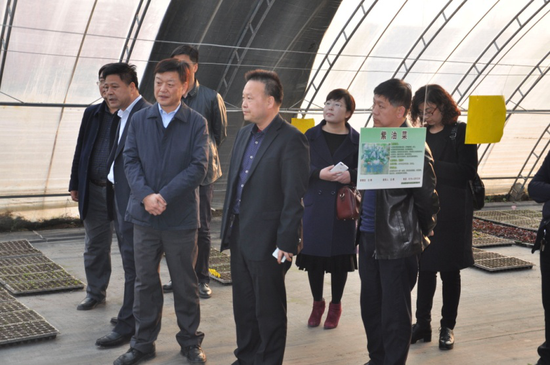 考察團(tuán)參觀東弘公司育苗中心
