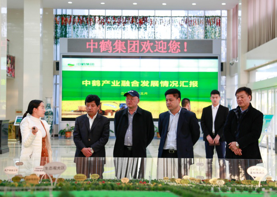 參觀中鶴集團沙盤模型