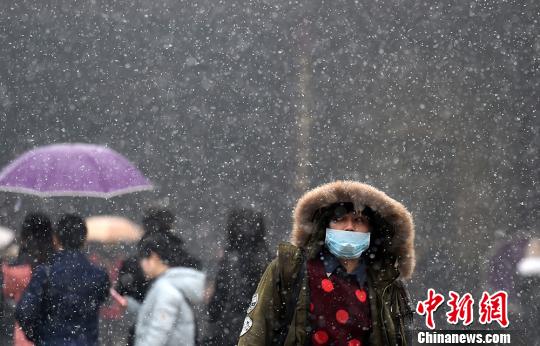 市民在雪中的南京街頭經(jīng)過(guò)。泱波　攝