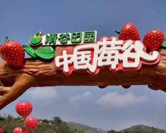 清谷田园·中国莓谷
