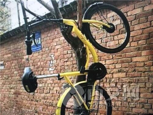 共享单车免费骑西安 RSCQ-fyfzhap4584192.jpg