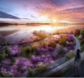 七夕花海公园项目