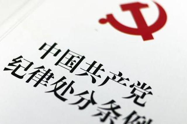 魏民洲被中央纪委给予开除党籍开除公职处分