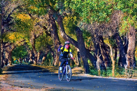 陕西及周边八省联动 自驾车穿越神奇阿拉善