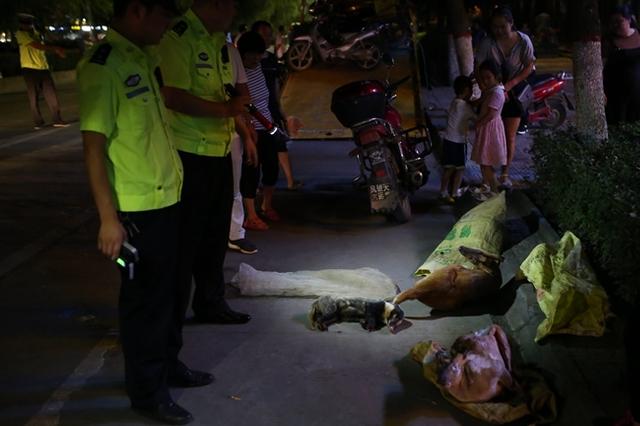 商洛交警查酒驾男子神色慌张 车上搜出野生动物