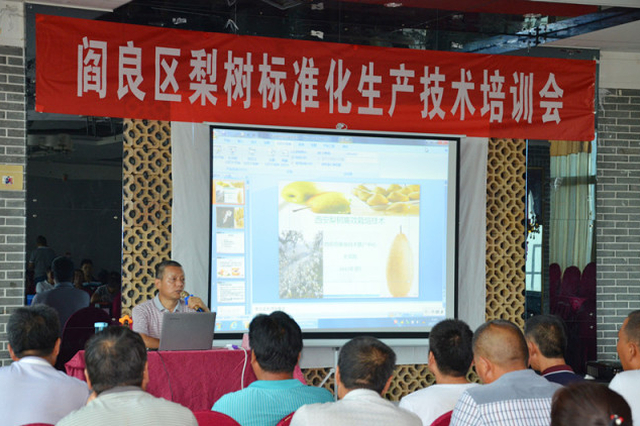 阎良区农林局积极开展梨树技术培训（图）