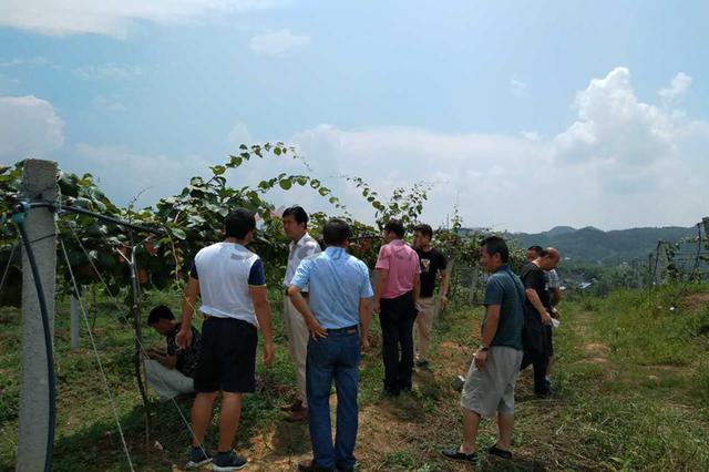 西安市统筹办赴安徽、湖南等地参观学习农村改革经验