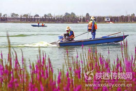 水治理人員乘坐小汽艇對臨岸水域進行治理。