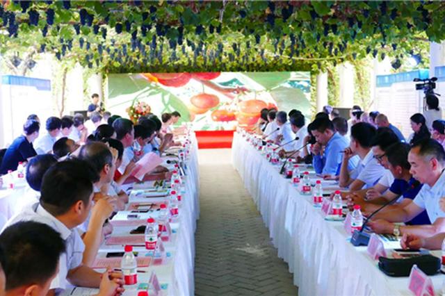 西商大咖相聚灞桥共话发展 “首届世界西商大会”暨灞桥区招商